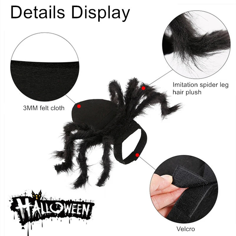 Halloween Costume Bat Wings For Pet