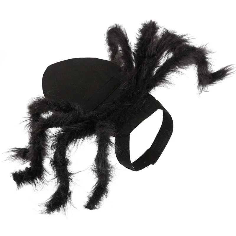 Halloween Costume Bat Wings For Pet