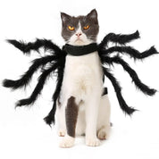 Halloween Costume Bat Wings For Pet
