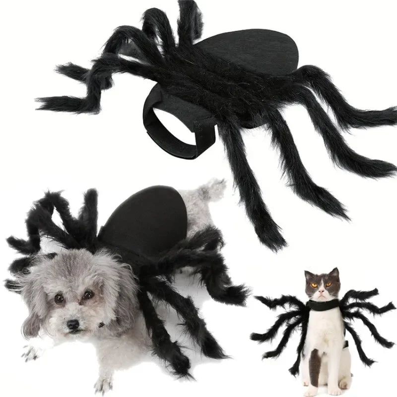 Halloween Costume Bat Wings For Pet